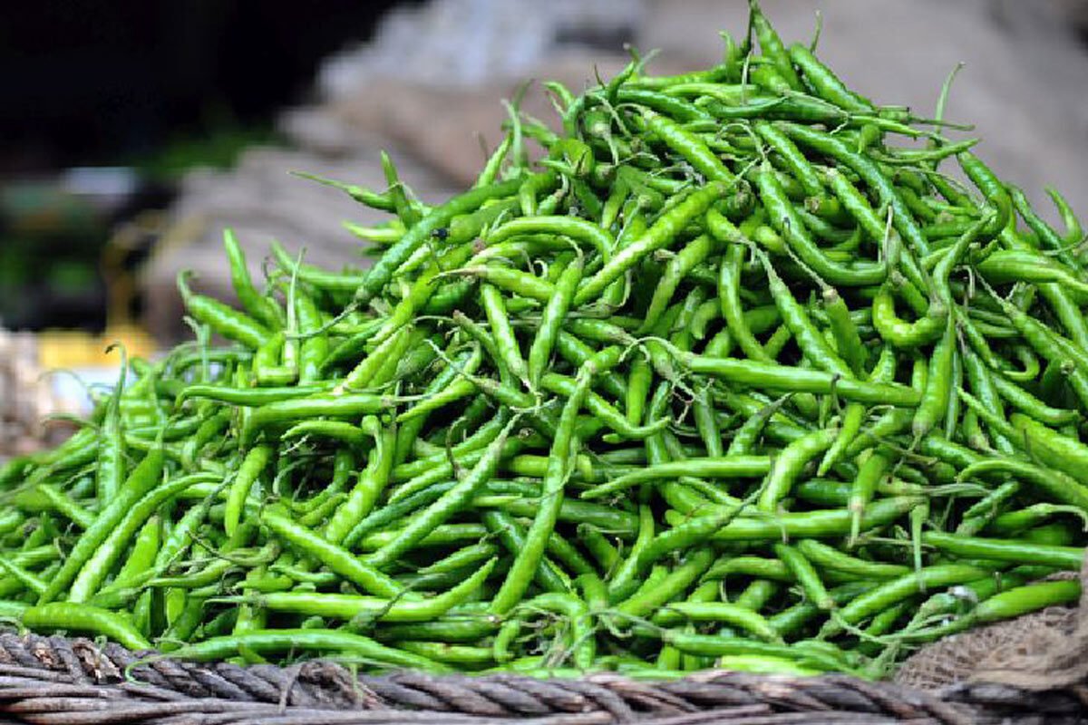GreenChillies-e1703869553277.jpg